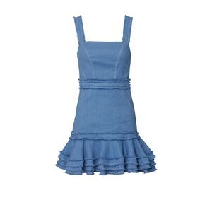 Alexis EUC Judith Fit and Flare Dress